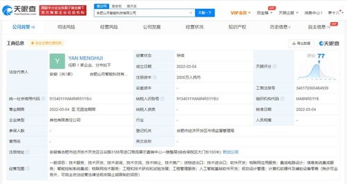 信息系統(tǒng)集成服務(wù) 構(gòu)建數(shù)字化未來的關(guān)鍵基石